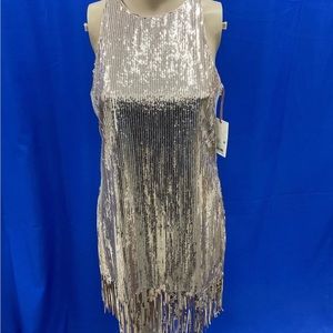 ✨ Taylor Swift Eras Tour Dress ✨